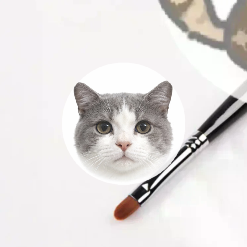 Eyeshadow Lip Gloss Makeup Bru - Beauty Makeup Eyeshadow recension och pris