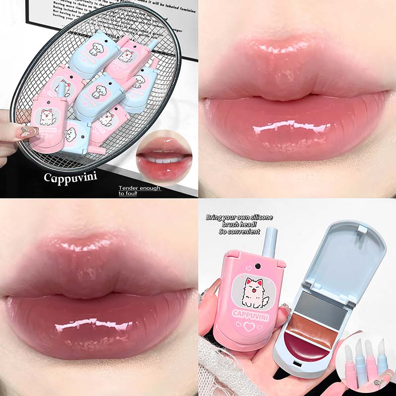 Dual-Color Moisturizing Solid  - Lip Gloss Plumping recension och pris